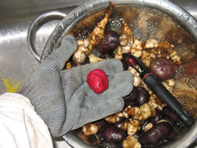 Fillet Glove Tip, Plus Recipes for Potato-Pumpkin Curry Soup and Toasted Pumpkin Seeds Image